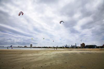 Kites on a beach